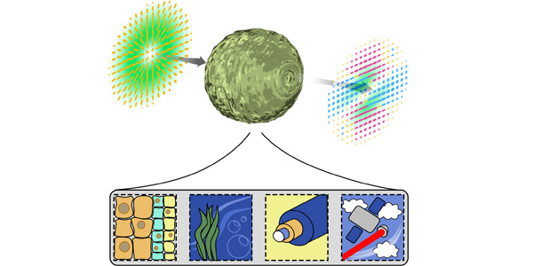 Light travelling in a distorting medium can appear undistorted